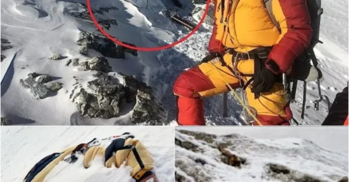 On the Brink of Decoding Everest's 