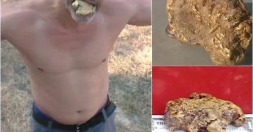 Lucky treasure hunter finds a steak-sized nugget worth $70,000 in a small California town preparing for a gold rush
