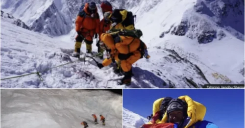Risking Life for the Lost: The Dangerous Journey to Recover 
