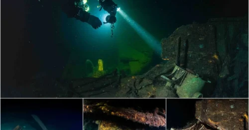 UNBELIEVABLE! Treasure Hunters Just Stumbled Upon a 'Secret Tunnel' Leading to the Legendary Amber Room - The £250 Million Treasure Trove!