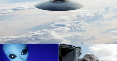 STUNNING Discovery: American Woman Reveals Aliens Are on Their Way to Save Humanity – The 