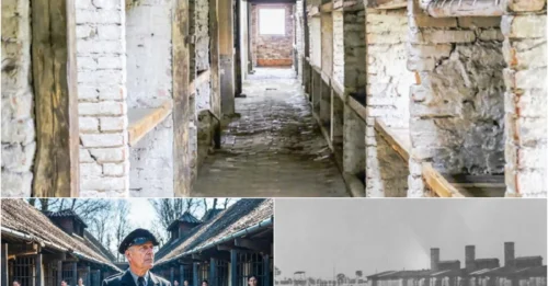 Inside the 4 Most HORRIFYING Execution Zones of Auschwitz: The 