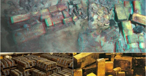 The Ocean's Haunting Secret: The SHOCKING Truth About 20 Tons of Gold 