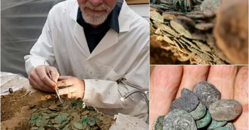 Treasure hunters find Britain's largest ancient coin hoard after discovering 69,347 Roman and Celtic pieces buried 3ft under a hedge in Jersey