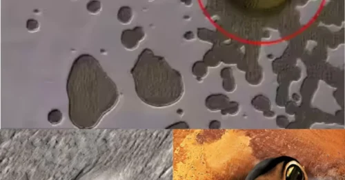 NASA REVEALS: 