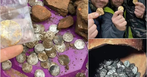 Hoard of 600 medieval gold and silver coins found by amateur metal detectorists in £150,000 find is declared treasure - putting them in line for a hefty payday