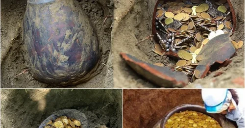 Sparkling gold treasure: “Gold hunters find a mysterious island containing cursed treasure”