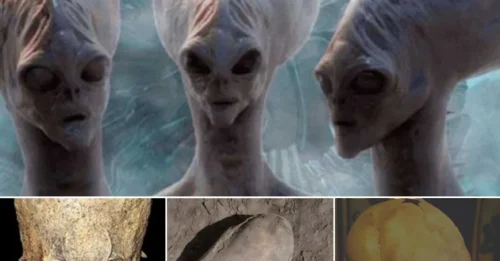 An alien skull, of unknown origin, has been unearthed, stumping archaeologists and challenging everything we thought we knew about our origins.