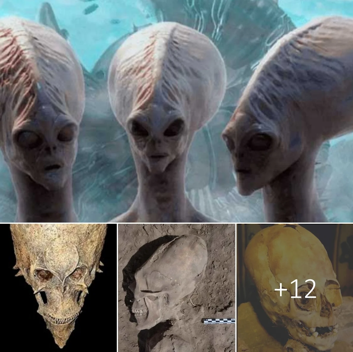 An alien skull, of unknown origin, has been unearthed, stumping