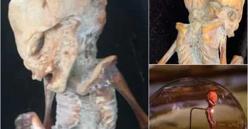 Researcher Suggests it Could be an 'Alien' or 'Tiny Cave-Dwelling Humanoid' from 800 Years Ago ‎ ‎