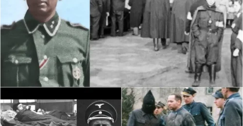 THE MAN WHO TURNED TOILETS INTO TORTURE CHAMBERS: The Execution of Ludwig Plagge – A Story of Barbarity in the Latrines of Auschwitz. hm