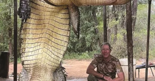 Hunting the Mythical Behemoth: Man's Journey in Search of a Legendary 9-Meter