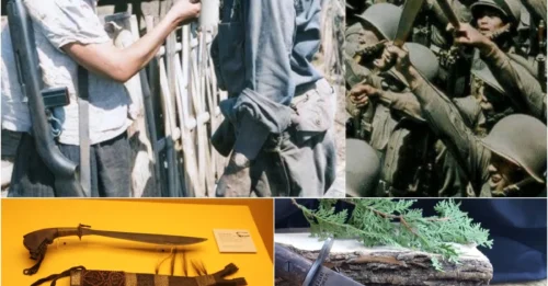 The MOST BRUTAL Execution Tool of WWII's Female Guerrillas: The SHOCKING History of the Bolo - From 