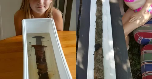 Archaeologists 