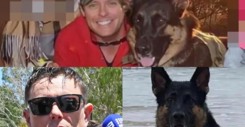 A Night of Bars, Brothels and a DEAD Dog: The Horrifying Crime That FINALLY Broke This Man in Court.
