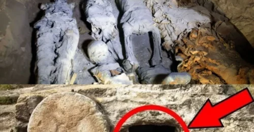 Archaeologists Uncover 20,000-Year-Old Mass Burial Cave of a Family Believed to Have Died Together