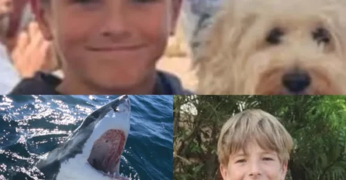 NEVER GAVE UP! Brave friend of shark attack survivor Nico Antic reveals moment he leapt into water to save his mate