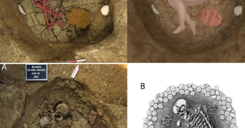 New research sheds light on family relationships in western Eurasian Bell Beaker communities