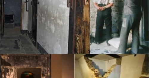 How the SS TORTURED Prisoners with 