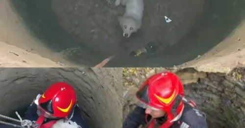 No One Heard Him for 3 Days — Watch the Moment a Rescue Team Found Him Trapped in an Abandoned Well
