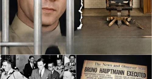 The ELECTRIC CHAIR Execution of a Man Convicted in a CONTROVERSIAL Murder: The HEARTBREAKING FINAL 24 HOURS of Bruno Hauptmann and His HAUNTING LAST WORDS — The Evidence That STILL DIVIDES America to This Day