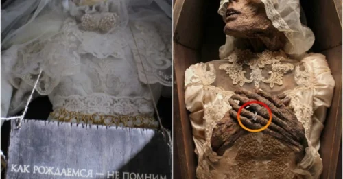 The Astonishing 17th-Century French Couple’s Romantic Story Revealed After They Were Found Buried with Each Other’s Hearts, the Bride’s Mummy Still Clutching Her Wedding Ring in a Mysterious and Emotional Sign of Eternal Love That Left Researchers Speechless
