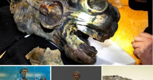 A lucky farmer was awarded $1.8 million when he discovered a 2,000-year-old Roman bronze horse head weighing about 55 pounds
