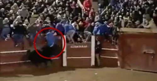 SAVAGE ATTACK: Horror moment raging bull gores man, 65, to death at Spanish festival after making desperate attempt to escape beast