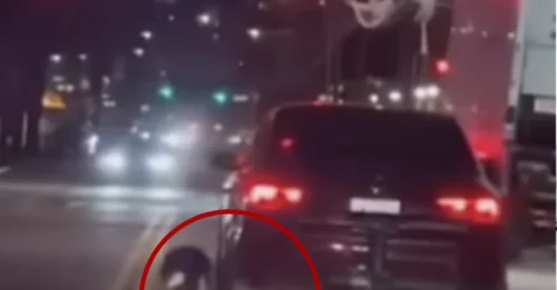 Horror on the Streets: Heartless monster drags 2 dogs behind car in front of shocked NYC bystanders, disturbing video shows