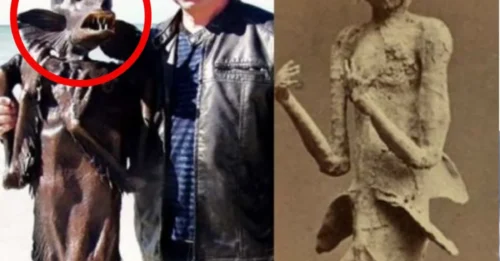 In 1734, a photographer mysteriously discovered and secretly captured what appeared to be a “mermaid” on the remote coast of Austria — a baffling find that has puzzled historians for centuries
