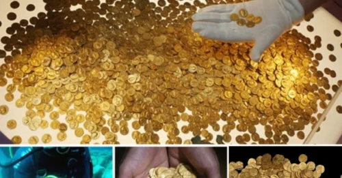 The hidden treasure of 2,000 gold coins weighing 6 kg was found in perfect condition