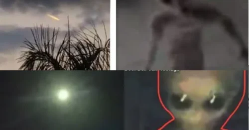 Police claim to have an alien in custody following local UFO sightings, igniting wild theories of extraterrestrial infiltration and cover-up.