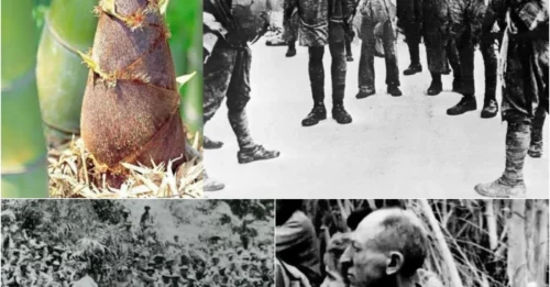 How Japanese Soldiers EXECUTED Prisoners with 