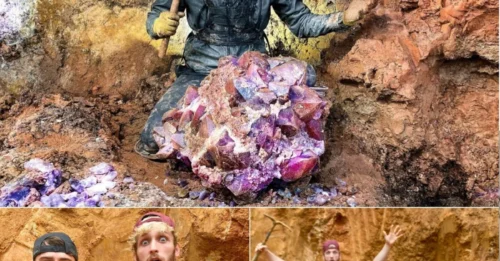 Astounding Find: Unearthed Rare Amethyst Crystal Worth $50,000 from a Hidden Private Mine – Experts Left Speechless by Its Size and Clarity!