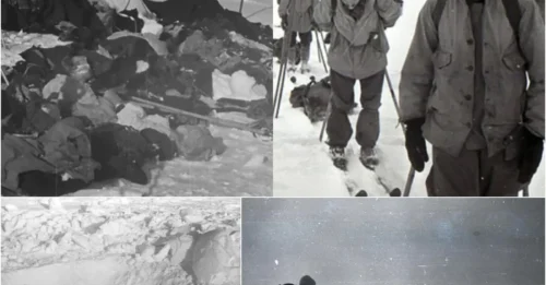 The Horror on Dead Mountain: 9 Experienced Trekkers Butchered — What REALLY Happened on That Frozen Night in 1959?