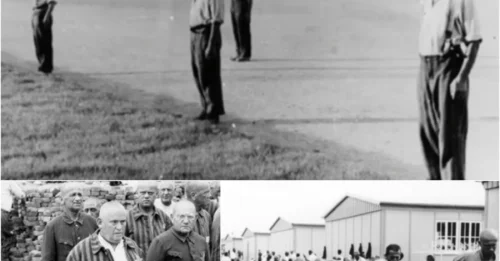 SS Soldiers Tortured Prisoners with the 