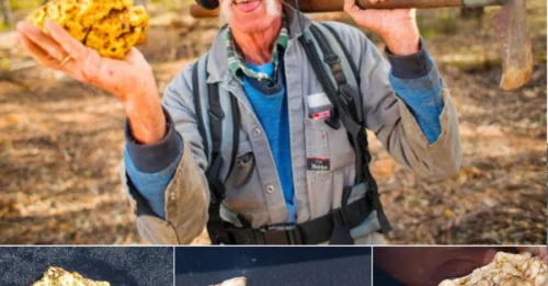 A young father hit the jackpot after digging up two giant gold pieces worth nearly $200,000
