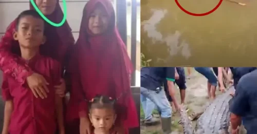 WATERSIDE NIGHTMARE: Shocking moment crocodile emerges from water with body of missing mum, 36, in its jaw as horrified locals shoot at beast