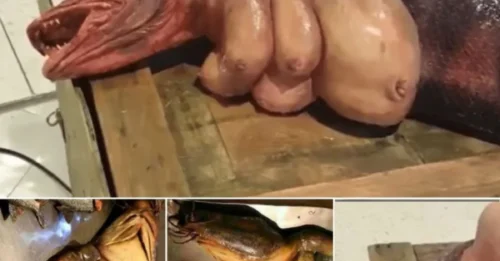 TERRIFYING DISCOVERY: Fear spread among everyone when a humanoid alien creature was found in the US