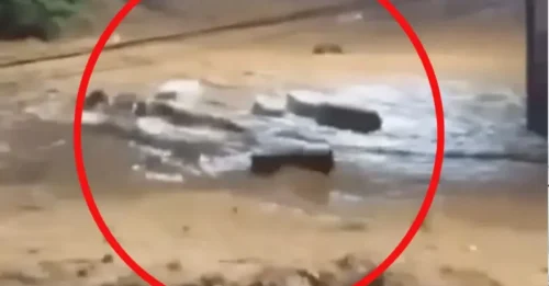 VISIÓN SOMBRÍO: Momento desgarrador en el que decenas de ATAÚDES son arrastrados a lo largo de la carretera durante inundaciones repentinas mortales después de una serie de tormentas.