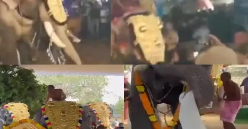 BEAST’S RAGE: Elephant grabs man with trunk, tosses him into air at Kerala temple festival. Spine-chilling video