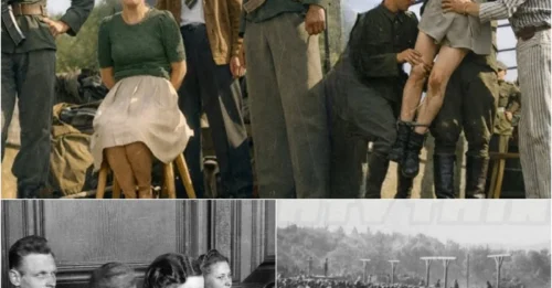 Why 5 WOMEN WARDENS of Stutthof Camp Were PUBLICLY HANGED Before 20,000 People: Giggling, Fixing Hair During Trial — and Crying, Begging Before the Gallows