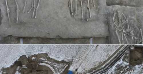 A Shocking Archaeological Discovery Reveals How Neolithic China Witnessed One of the Most Devastating Headhunting Massacres of Women and Children Ever Uncovered