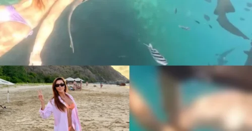 OCEAN TERROR: Gruesome video captures moment shark chomps on snorkeler’s thigh – Survivor’s chilling account reveals the terrifying seconds that felt “like forever” beneath the surface