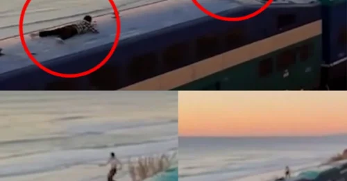 CAOS COSTERO: Adolescentes imprudentes arrestados por surfear sobre un icónico tren de California frente a una hermosa puesta de sol costera