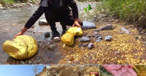 It feels great when you discover something that many others crave! Where Along this river, there is a vast gold and diamond reserve waiting to be discovered