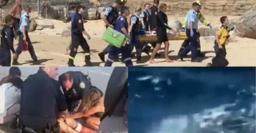 WAVES OF FEAR: Two men pulled a 59-year-old woman with severe leg injuries from the water following a shark attack at an isolated beach.