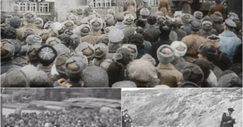 The PUBLIC EXECUTION of 8 Brutal Nazis: The FINAL Moments Trembling and Begging Before the Gallows of the CRIMINALS — and the Roar of 30,000 Witnesses