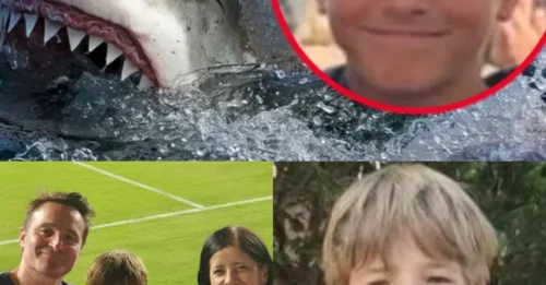 SHARK ATTACK: Boy, 12, fighting for life after large shark severely mauled both his legs as he played with friends on popular beach
