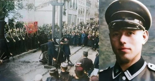 The FINAL MOMENTS of Buchenwald’s Most Notorious Guard Before the Guillotine: The DARK and Controversial Life of Wilhelm Schäfer and the Long-Awaited Justice That Came 15 Years Too Late – What Really Happened Behind Closed Doors?